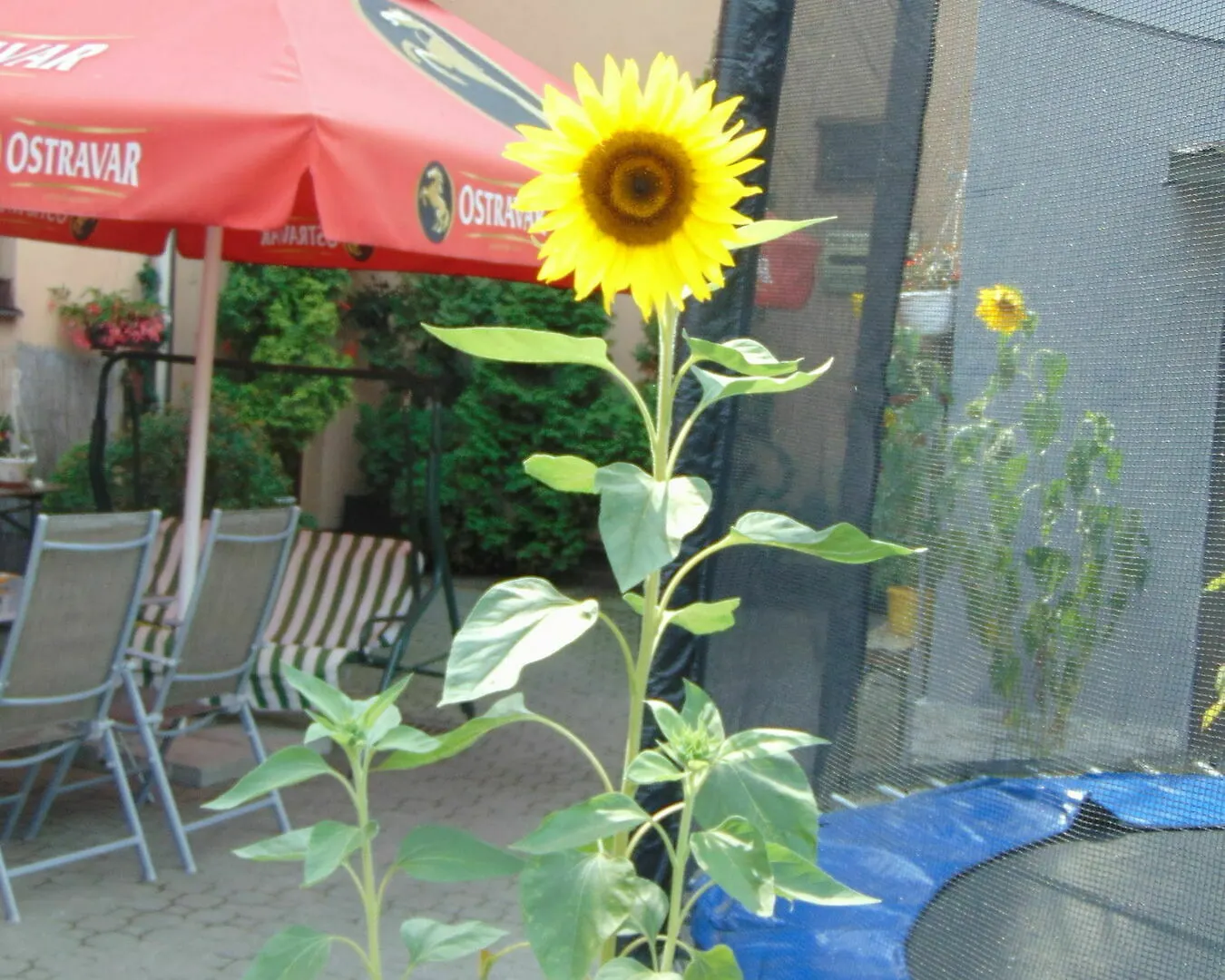 Hotel Isora Ostrava 3*,